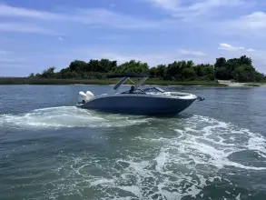 Thumbnail von Sea Ray SDX 290 Outboard