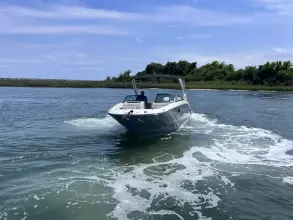 Thumbnail von Sea Ray SDX 290 Outboard