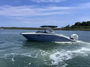 Thumbnail von Sea Ray SDX 290 Outboard