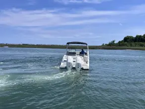 Thumbnail von Sea Ray SDX 290 Outboard