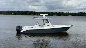 Everglades 295