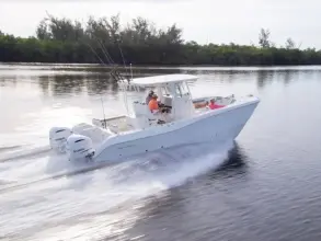 World Cat 295 CC