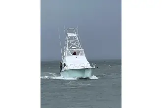 Thumbnail von Carver 444 Cockpit Motor Yacht