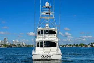 Thumbnail von Viking 76 Enclosed Bridge OSH-IT