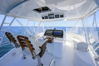 Thumbnail von Viking 54 Convertible Dog House