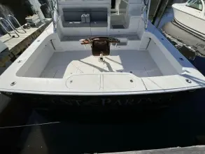 Thumbnail von Viking 52' Open SILENT PARTNER