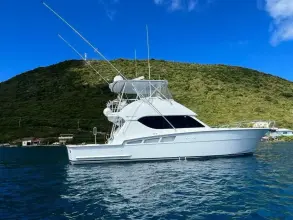 Thumbnail von Hatteras 50 Convertible