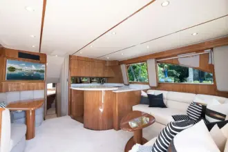 Thumbnail von Viking 48 Convertible SEA BLOCK