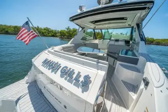Thumbnail von Sea Ray 320 Sundancer
