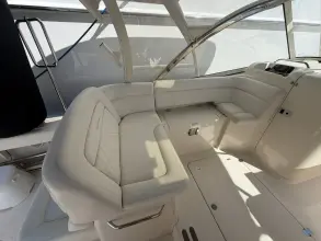 Thumbnail von Grady White Freedom 335 T/T ELYSIAN