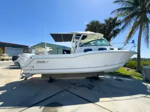 Boston Whaler 315 Conquest PEARL