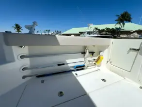 Thumbnail von Boston Whaler 315 Conquest PEARL