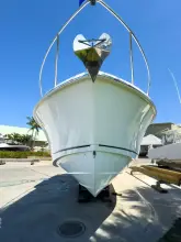 Thumbnail von Boston Whaler 315 Conquest PEARL