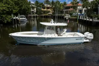 Thumbnail von Regulator 31 Center Console SWEET MELISSA
