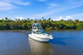 Thumbnail von Tiara Yachts 3100 Open Serenity