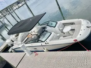 Thumbnail von Sea Ray SDX 290 Outboard