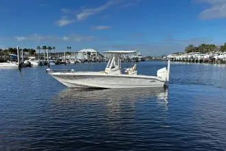 Boston Whaler 250 Dauntless
