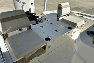 Thumbnail von Boston Whaler 250 Dauntless