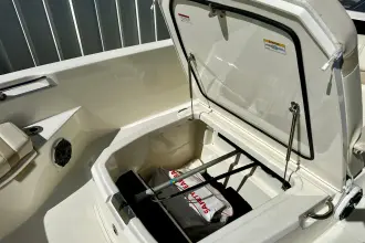 Thumbnail von Boston Whaler 250 Dauntless