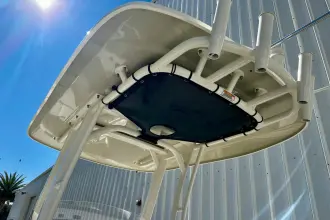 Thumbnail von Boston Whaler 250 Dauntless