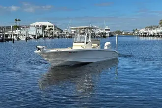 Thumbnail von Boston Whaler 250 Dauntless