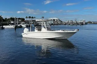 Thumbnail von Boston Whaler 250 Dauntless