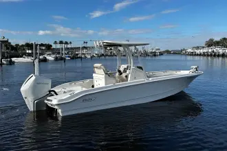 Thumbnail von Boston Whaler 250 Dauntless