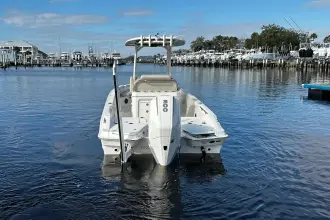 Thumbnail von Boston Whaler 250 Dauntless