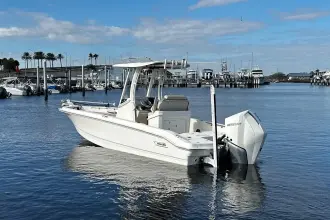 Thumbnail von Boston Whaler 250 Dauntless