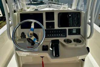 Thumbnail von Boston Whaler 250 Dauntless