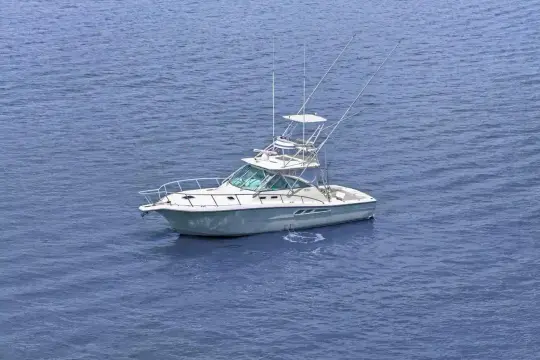 Rampage 38 Express