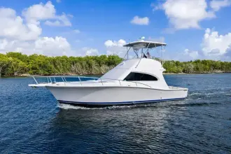 Thumbnail von Luhrs 38 Convertible