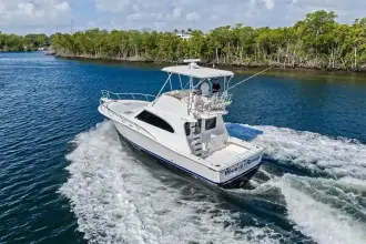 Thumbnail von Luhrs 38 Convertible
