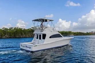 Thumbnail von Luhrs 38 Convertible