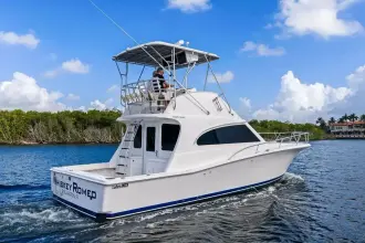 Thumbnail von Luhrs 38 Convertible