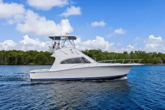 Thumbnail von Luhrs 38 Convertible