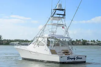 Thumbnail von Viking 52' Open