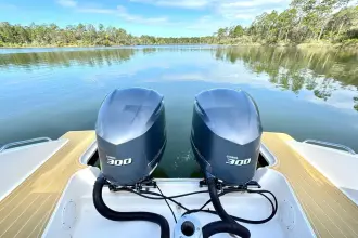 Thumbnail von Pursuit OS325 Offshore