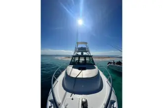 Thumbnail von Boston Whaler 345 Conquest