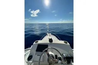 Thumbnail von Boston Whaler 345 Conquest