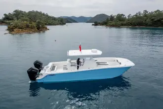 Thumbnail von Invincible 33 Catamaran