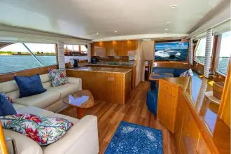 Thumbnail von Viking 56 Convertible REEL SOUTHERN