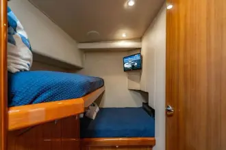 Thumbnail von Viking 56 Convertible REEL SOUTHERN