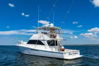 Thumbnail von Viking 56 Convertible REEL SOUTHERN