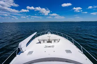 Thumbnail von Viking 56 Convertible REEL SOUTHERN