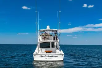 Thumbnail von Viking 56 Convertible REEL SOUTHERN