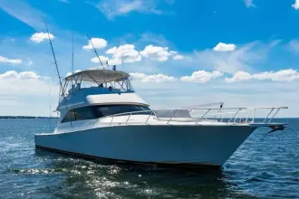 Thumbnail von Viking 56 Convertible REEL SOUTHERN