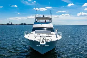 Thumbnail von Viking 56 Convertible REEL SOUTHERN