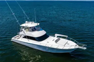 Thumbnail von Viking 56 Convertible REEL SOUTHERN