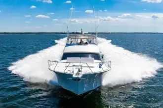 Thumbnail von Viking 56 Convertible REEL SOUTHERN